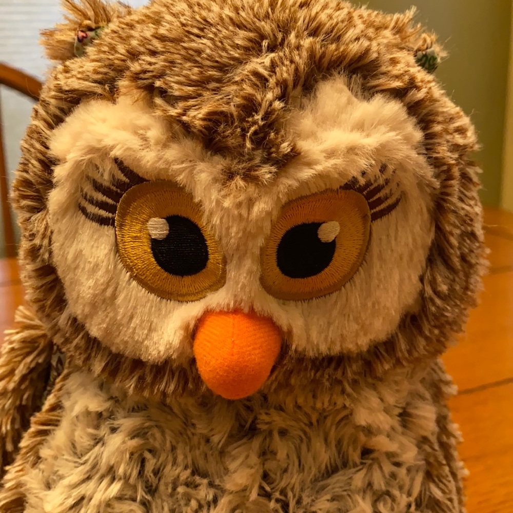 Girl Scout Owl